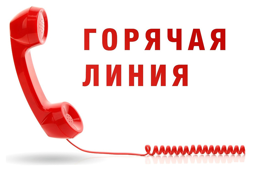 «Горячая линия» по вопросам несанкционированных рубок древесины на землях сельскохозяйственного назначения «Горячая линия» по вопросам несанкционированных рубок древесины на землях сельскохозяйственного назначения.