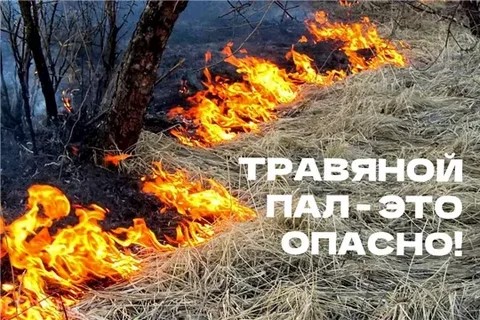 Весенние палы травы: традиция, ведущая к трагедии.